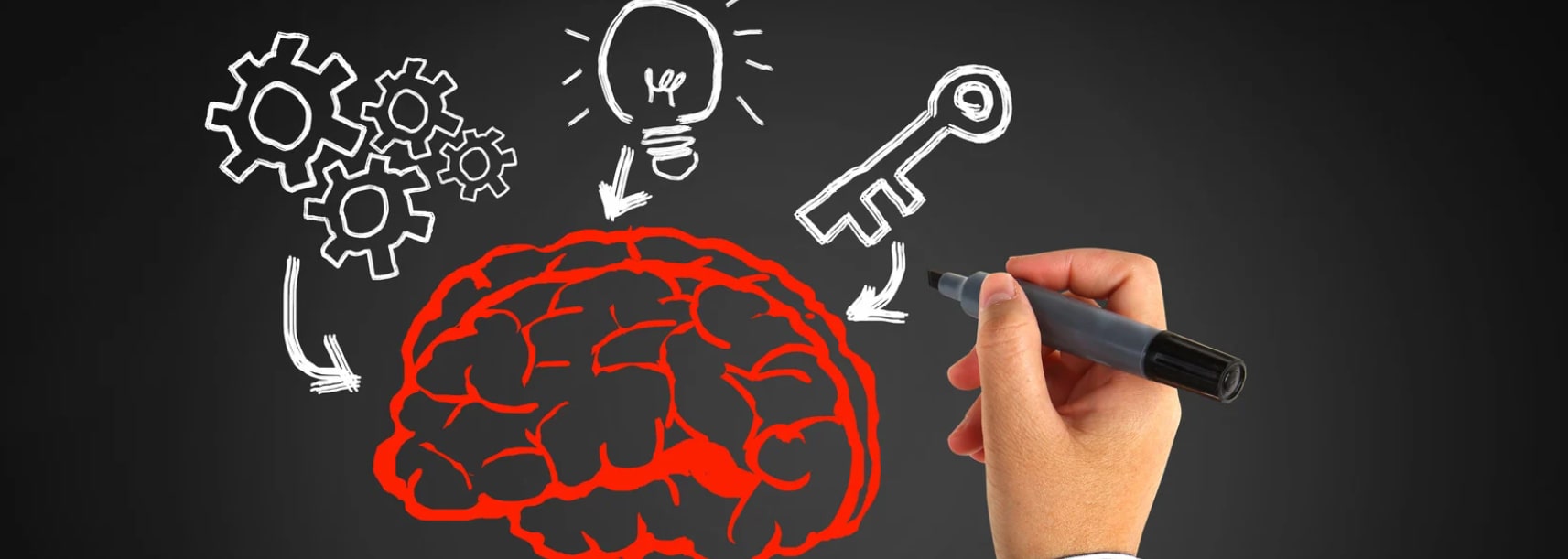 Terapia Cognitivo-Conductual (TCC)